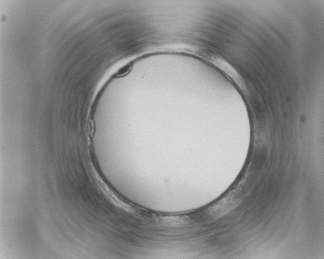 X0000059841436200511181502