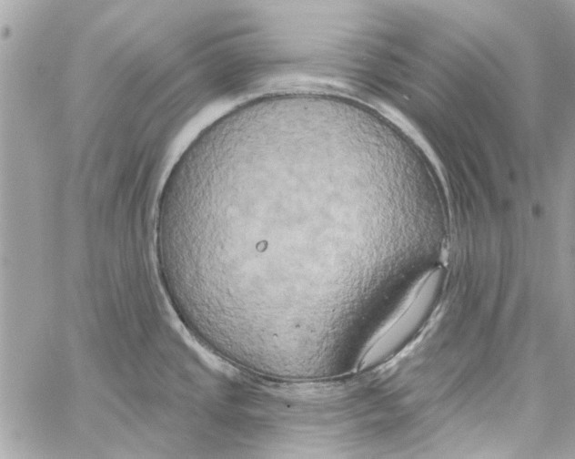 X0000059841437200511181502