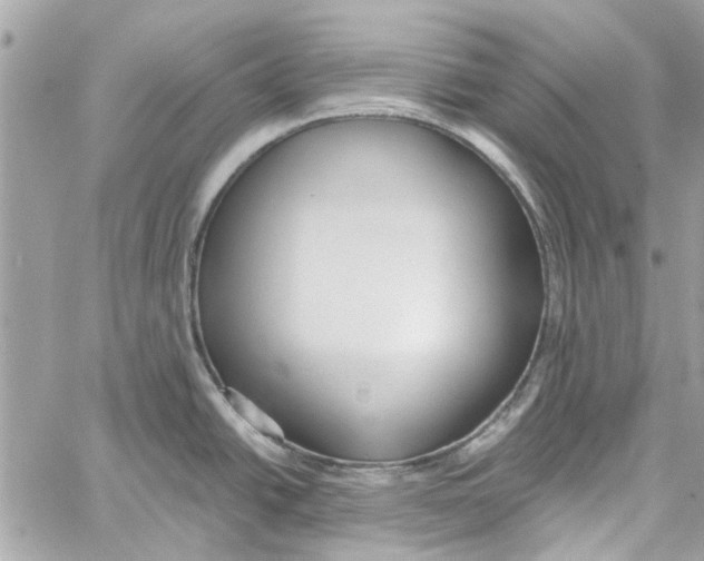 X0000059841438200511181502