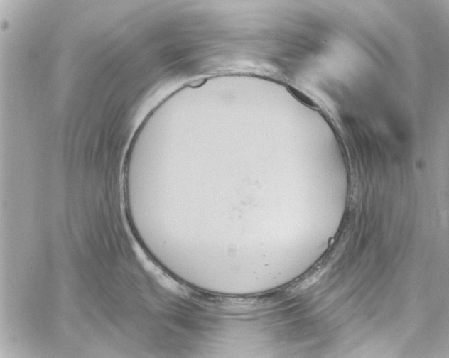 X0000059841439200511181502