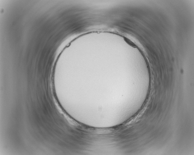 X0000059841440200511181502