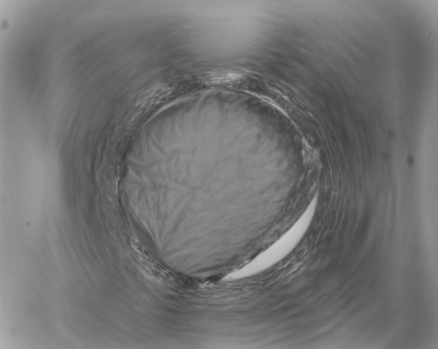 X0000059841441200511181501