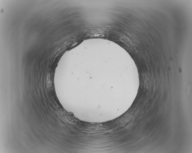 X0000059841442200511181501