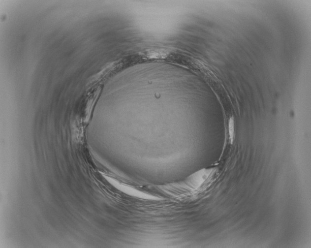 X0000059841443200511181501