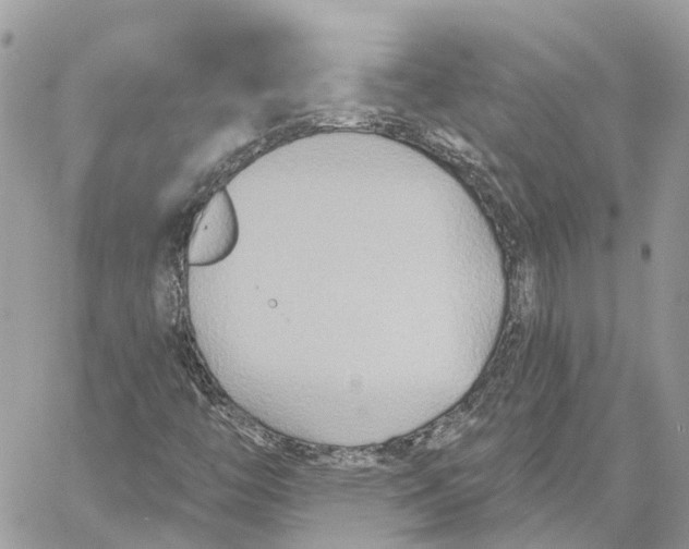 X0000059841446200511181501