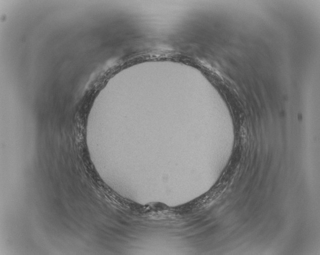 X0000059841447200511181501