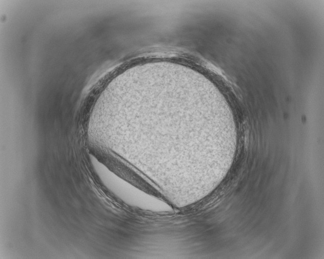 X0000059841448200511181501