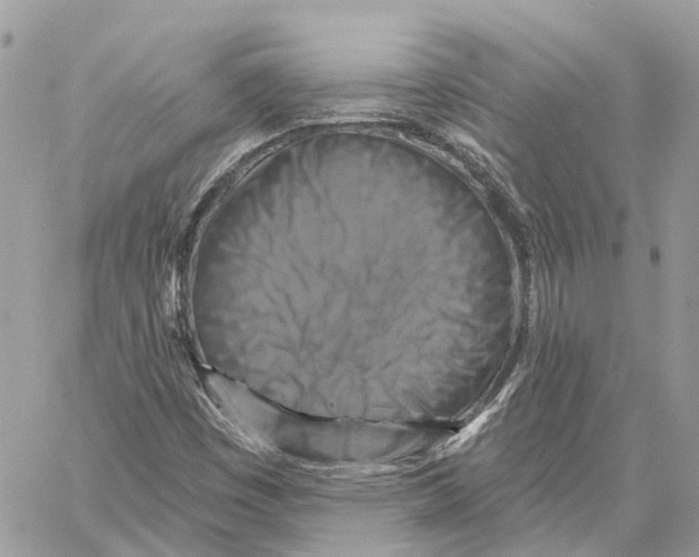 X0000059841449200511181501