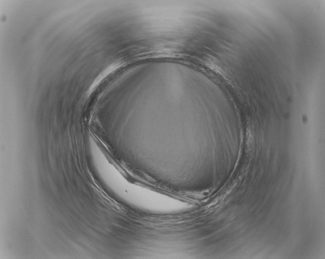 X0000059841450200511181501