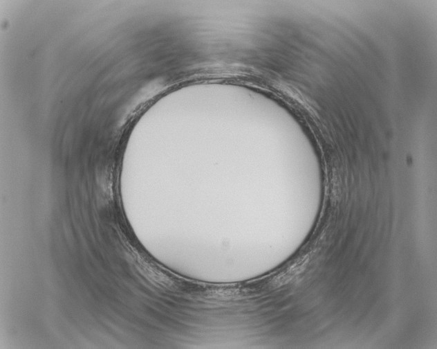 X0000059841451200511181501