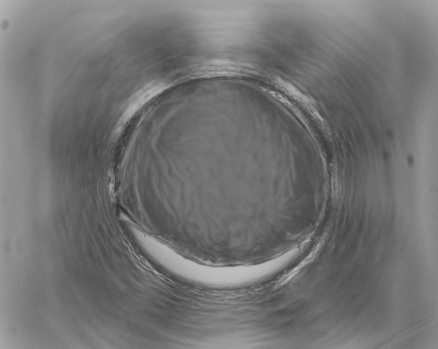 X0000059841453200511181501