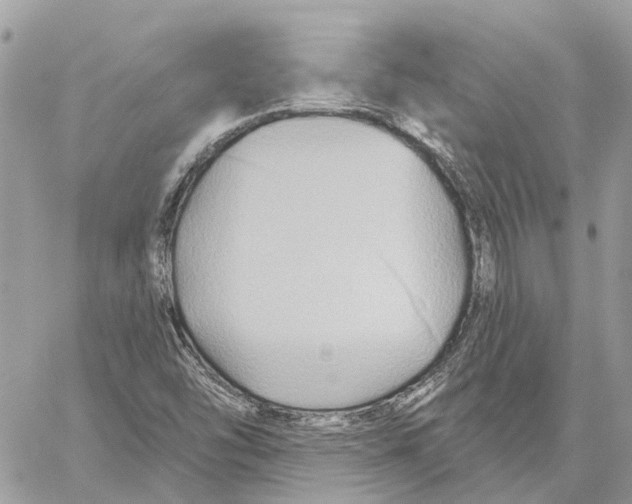 X0000059841454200511181501