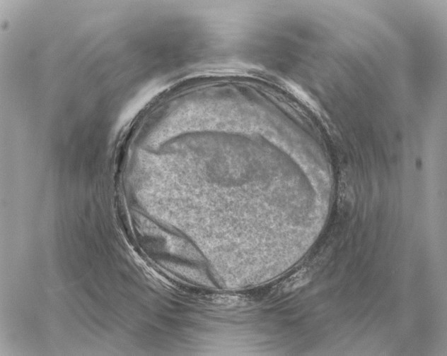 X0000059841456200511181501