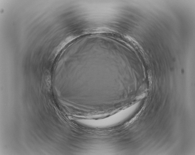 X0000059841457200511181501