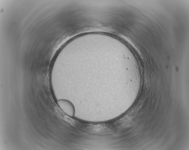 X0000059841460200511181501