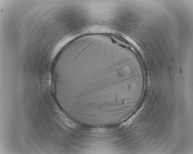 X0000059841461200511181501