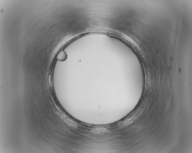 X0000059841462200511181501