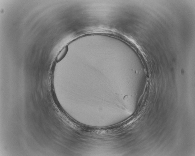 X0000059841463200511181501