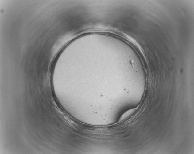 X0000059841464200511181501