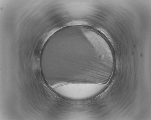 X0000059841465200511181501