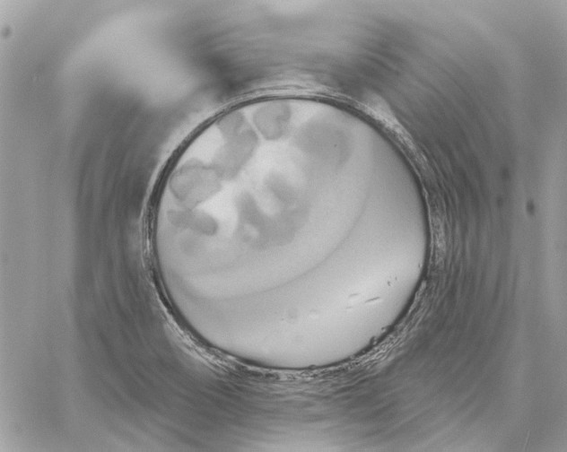 X0000059841466200511181501