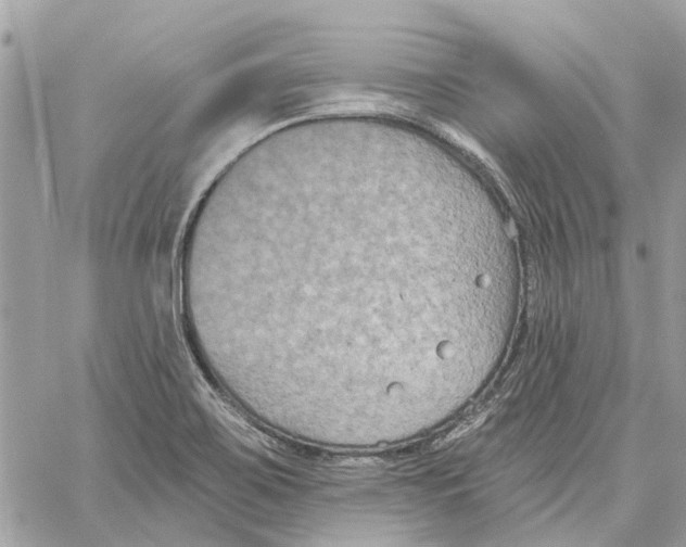 X0000059841467200511181501