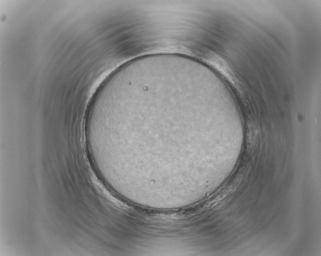 X0000059841468200511181501