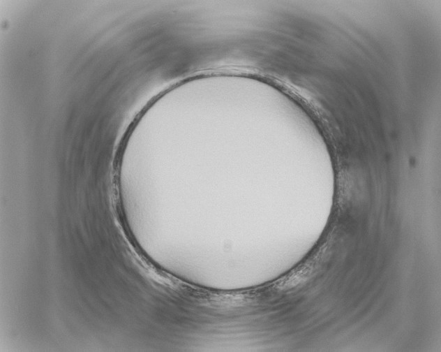 X0000059841470200511181501