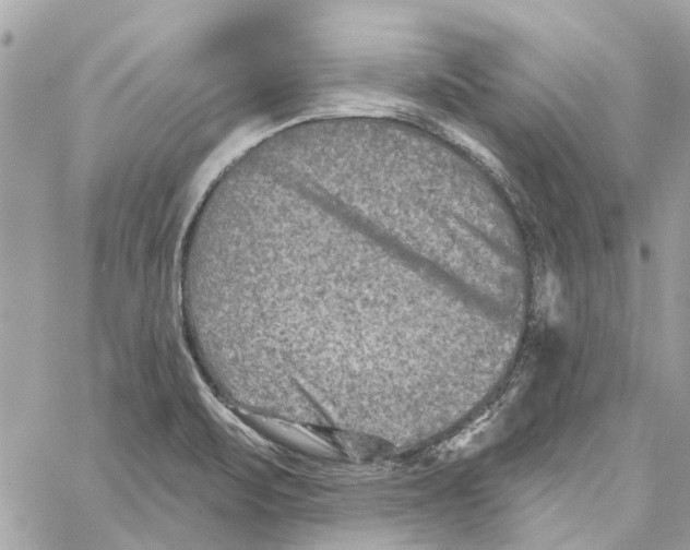 X0000059841471200511181501