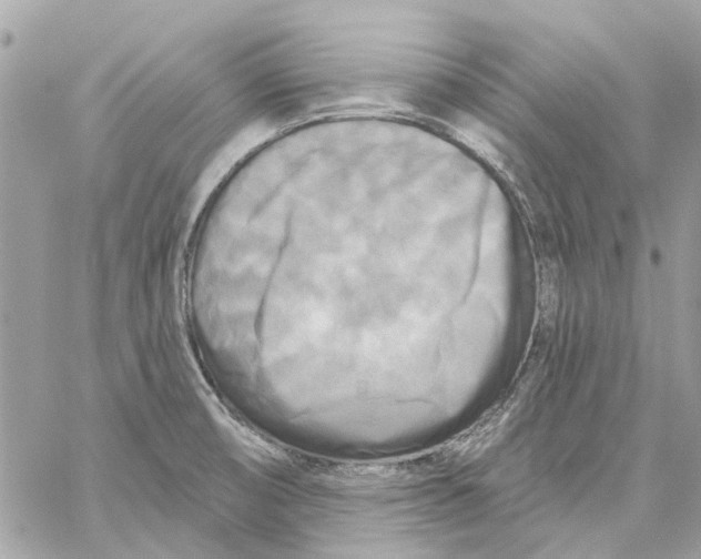 X0000059841474200511181500