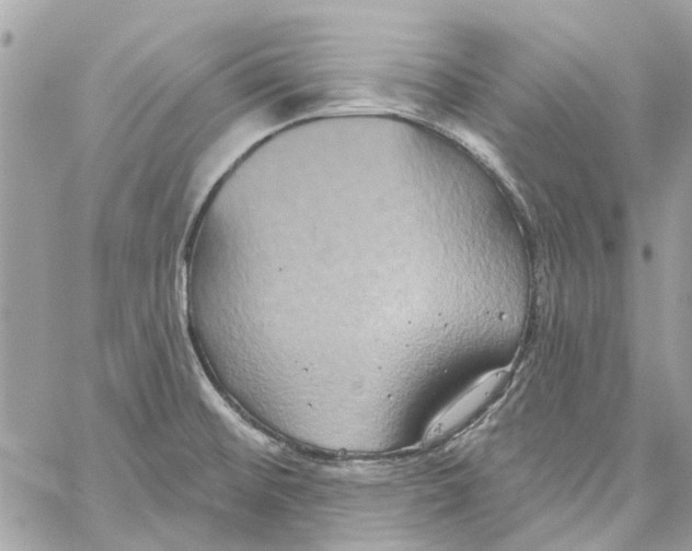 X0000059841476200511181500