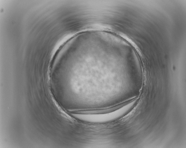 X0000059841477200511181500