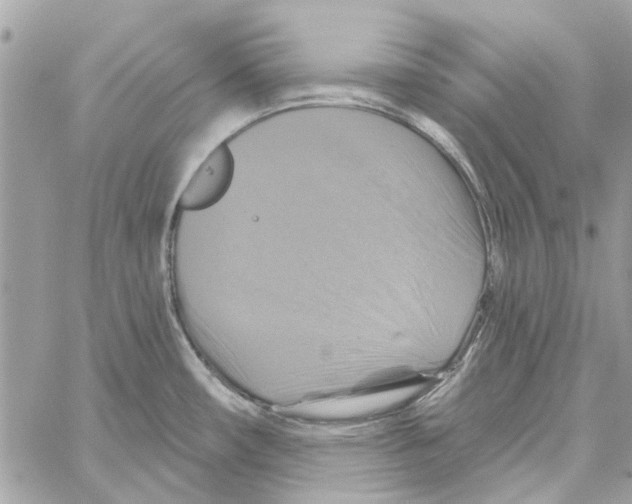 X0000059841482200511181500