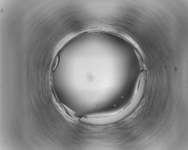 X0000059841485200511181500