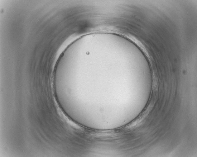 X0000059841486200511181500