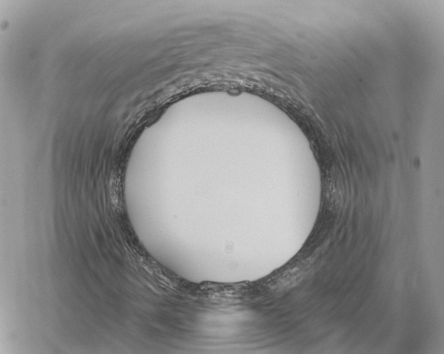 X0000059841490200511181459