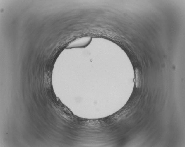 X0000059841491200511181459