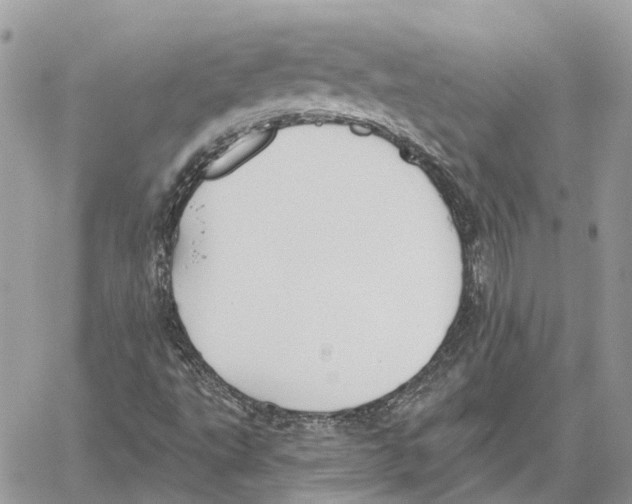 X0000059841495200511181459