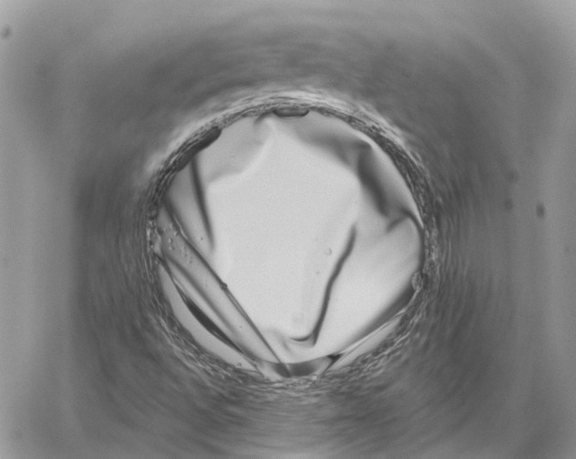 X0000059841496200511181459