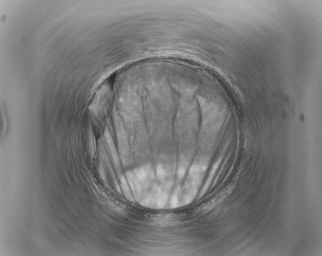 X0000059841497200511181459