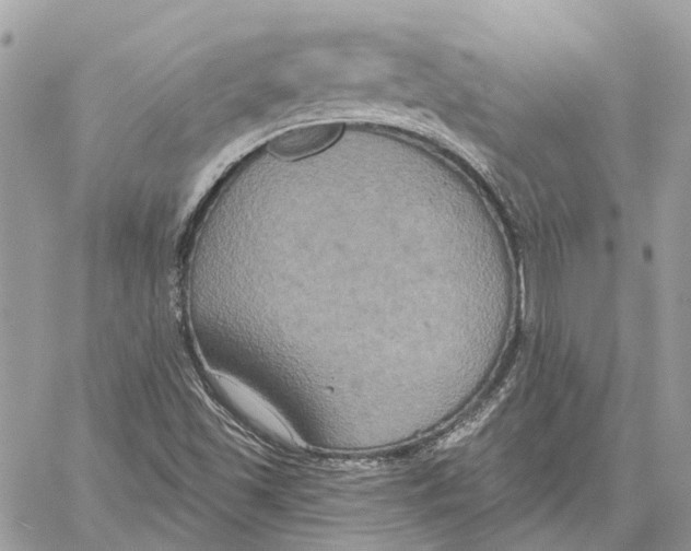 X0000059841501200511181500