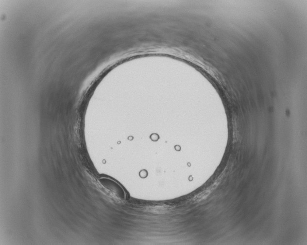 X0000059841502200511181500