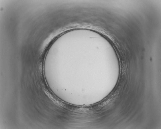 X0000059841503200511181500