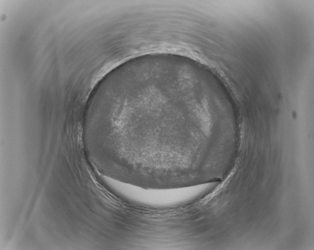 X0000059841505200511181500