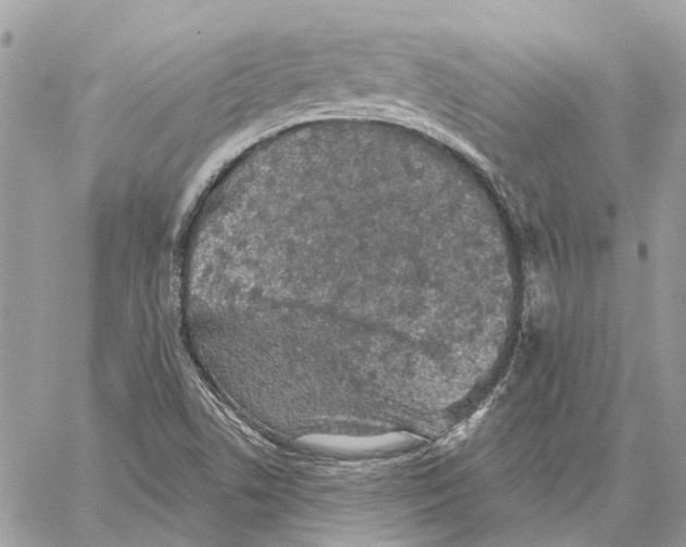 X0000059841506200511181500