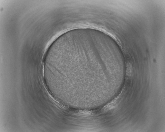 X0000059841509200511181500