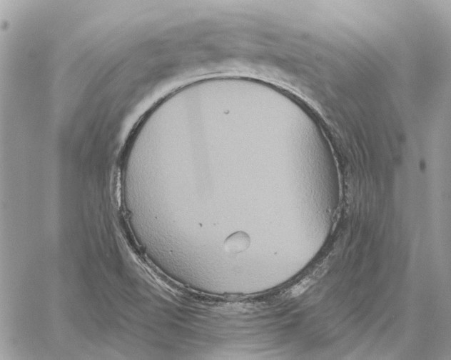 X0000059841510200511181500