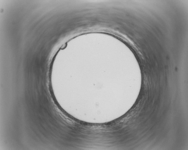 X0000059841512200511181500