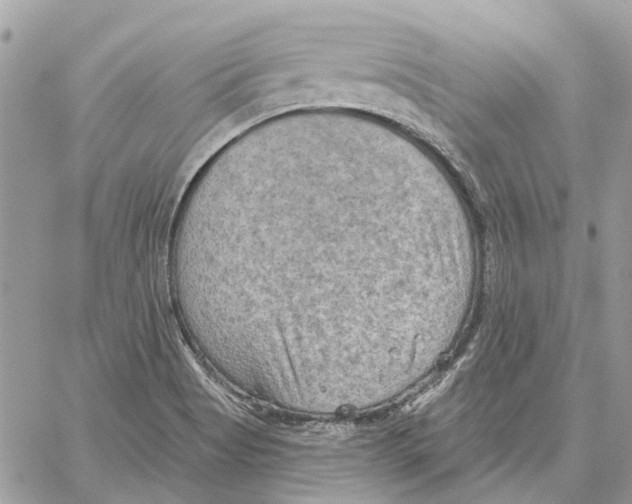 X0000059841513200511181500