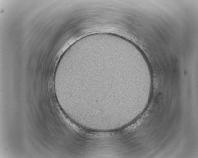 X0000059841521200511181500